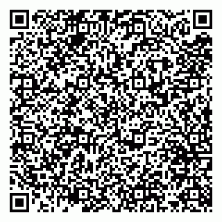 vCard 79051640317