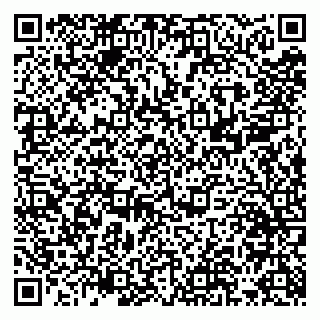 vCard 79051640318
