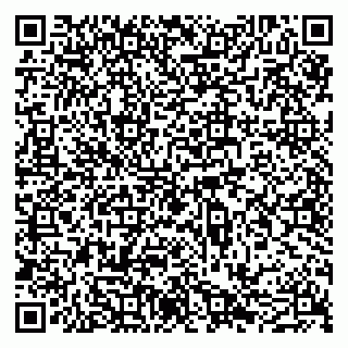 vCard 79051640321