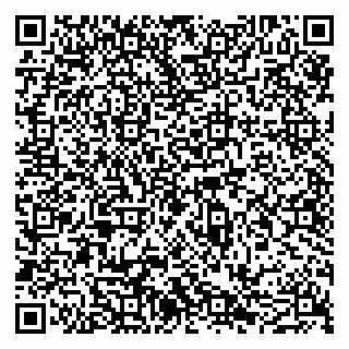 vCard 79051640329