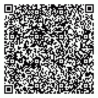 vCard 79051640331