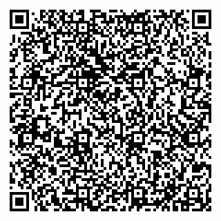 vCard 79051640351