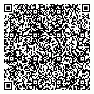 vCard 79051640353