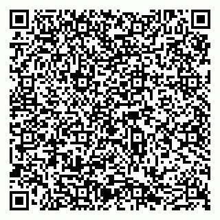 vCard 79051640369