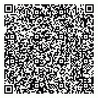 vCard 79051640373