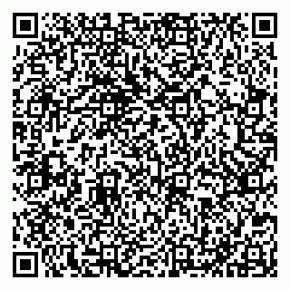 vCard 79051640377