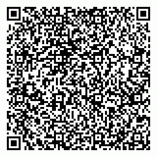 vCard 79051640378