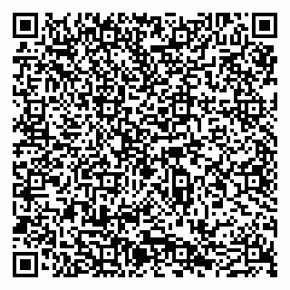 vCard 79051640379