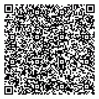 vCard 79051640381