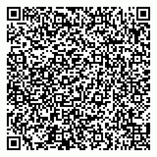 vCard 79051640382