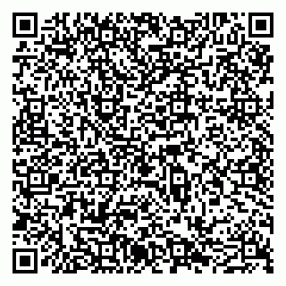 vCard 79051640383