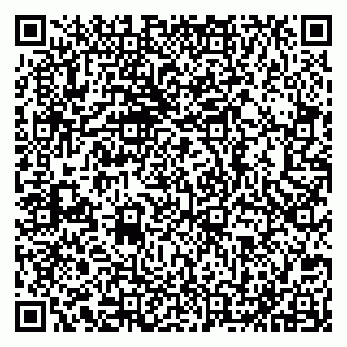 vCard 79051640385