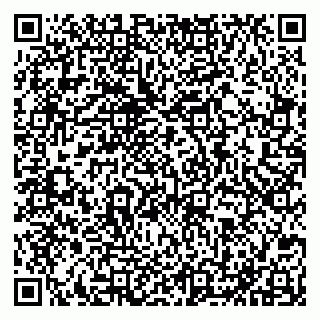 vCard 79051640386