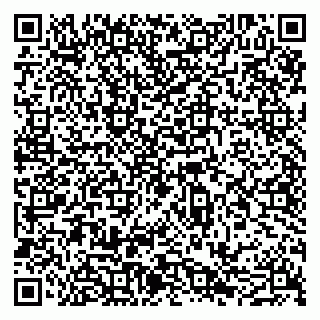 vCard 79051640389
