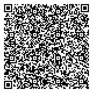 vCard 79051640391