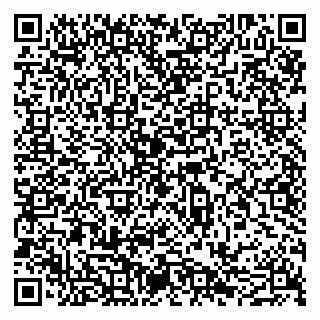 vCard 79051640398