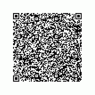 vCard 79051900005