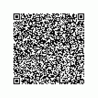 vCard 79051900131