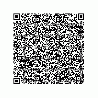 vCard 79051969985