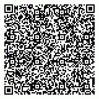vCard 79052380015