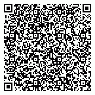 vCard 79052390207