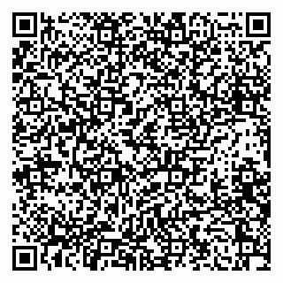 vCard 79053001739