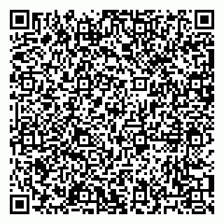 vCard 79053002011
