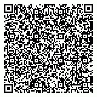 vCard 79053003133