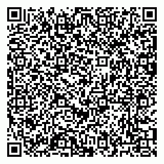 vCard 79053006739