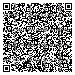 vCard 79053200401