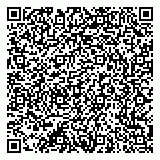 vCard 79053200410
