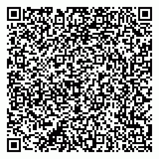 vCard 79053200411