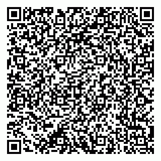 vCard 79053200413