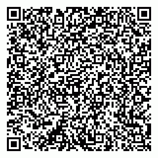 vCard 79053200418
