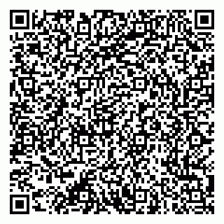 vCard 79053200419