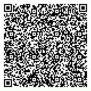 vCard 79053200480