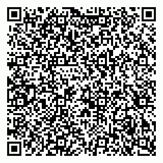 vCard 79053200513