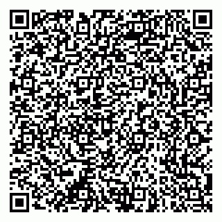 vCard 79053200520