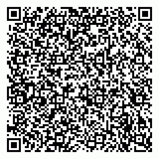 vCard 79053200529