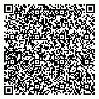 vCard 79053200532