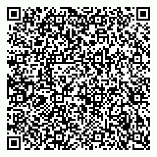 vCard 79053200533