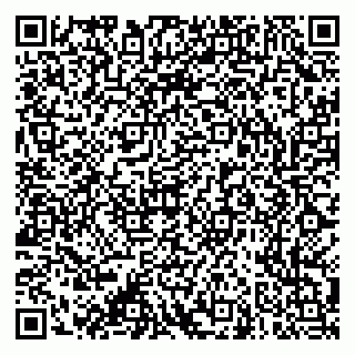 vCard 79053200731