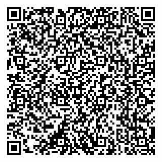 vCard 79053200733