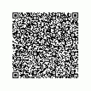 vCard 79053300029