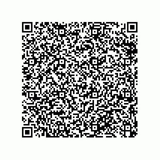 vCard 79053300031