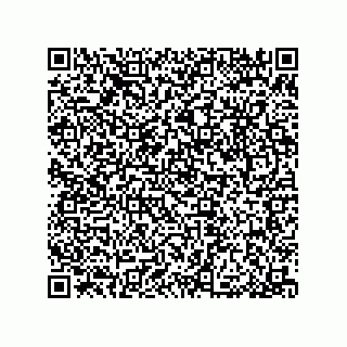vCard 79053300041