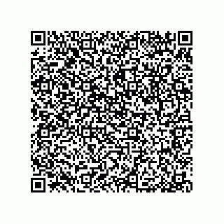 vCard 79053300043