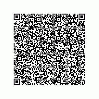 vCard 79053300068