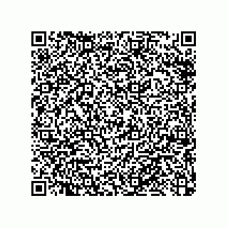 vCard 79053300073