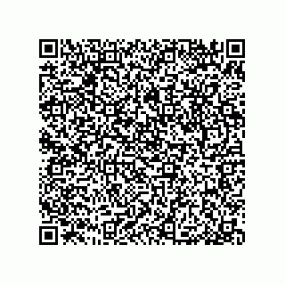 vCard 79053300080